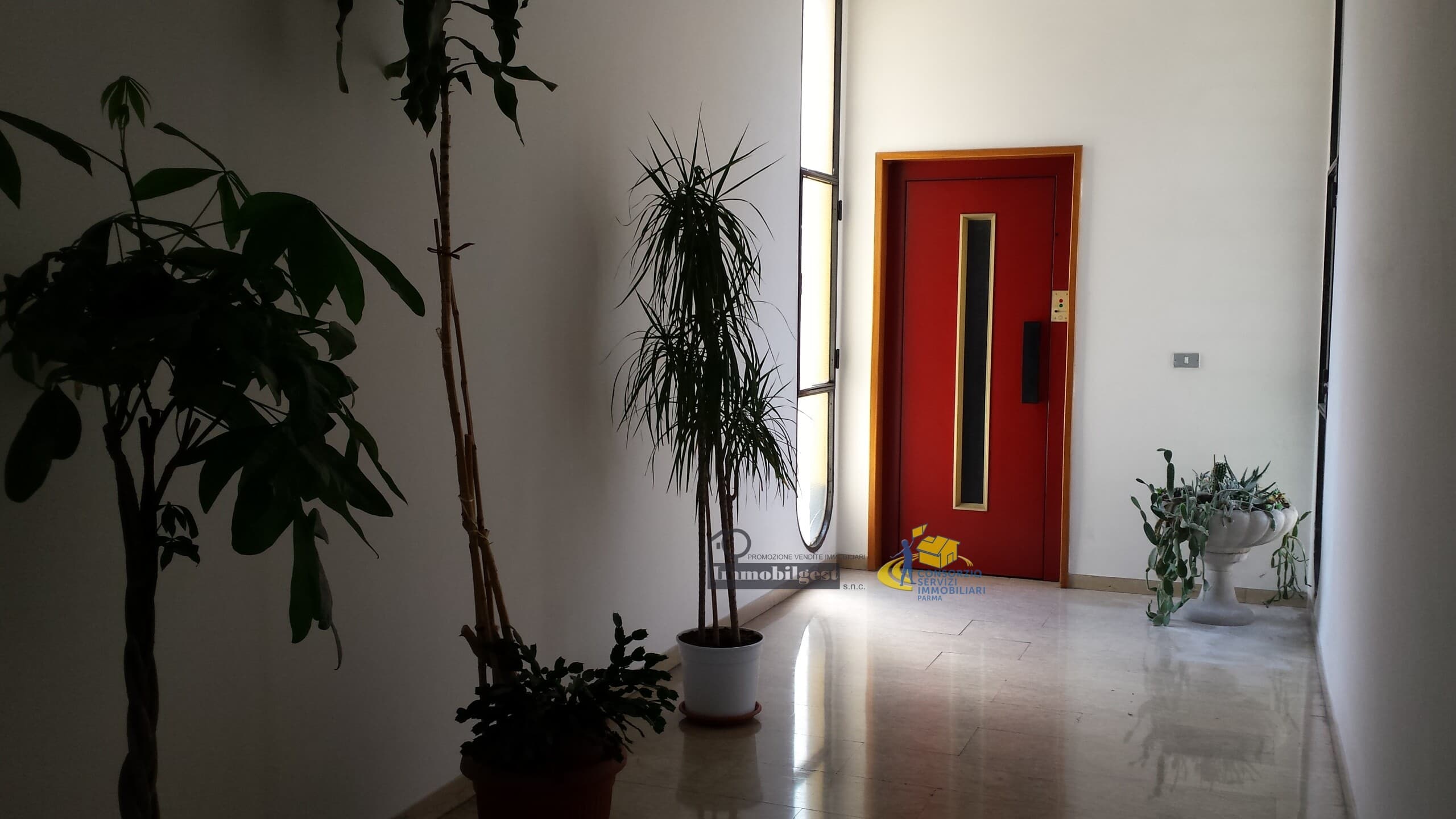 In appartamento Parma · IS4446 · foto 12
