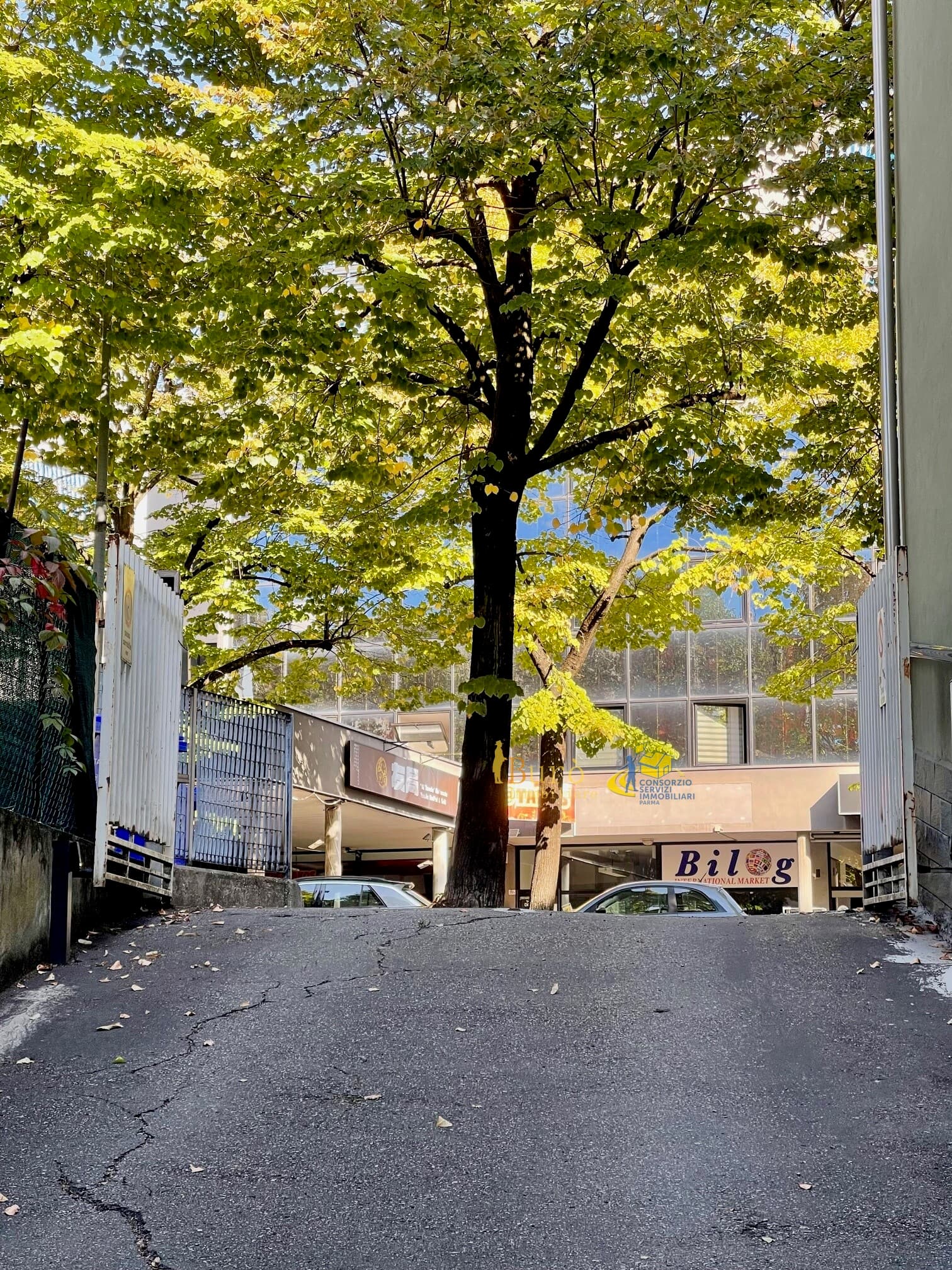 Singolo Parma Città Ovest · BU519 · foto 3