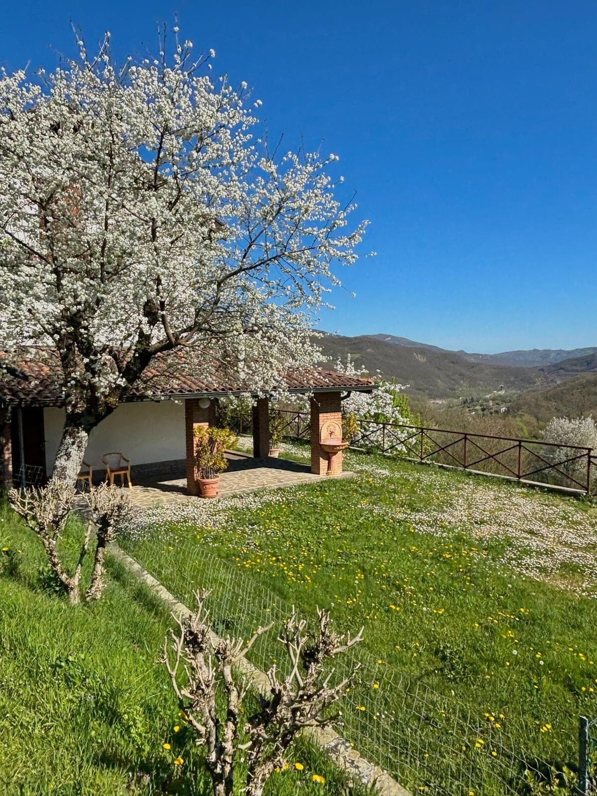 villa a Preda · Berceto · Rif. 1170 · foto 25